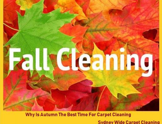 Why Is Autumn The Best Time For Carpet Cleaning?