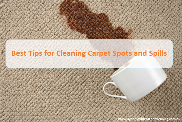 Best-Tips-For-Spot-Cleaning-In-Carpeting